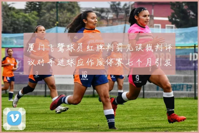 厦门飞鹭球员红牌判罚无误裁判评议对手进球应作废停赛七个月引发热议