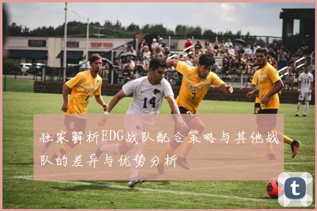 独家解析EDG战队配合策略与其他战队的差异与优势分析